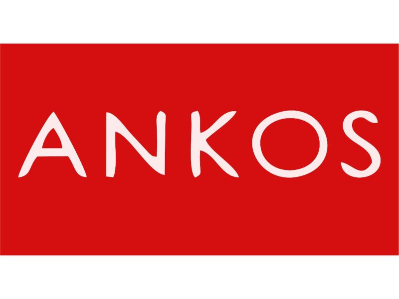 Logo Ankos link 2013